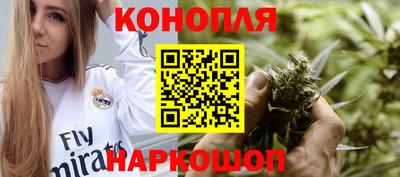 гидра Будённовск