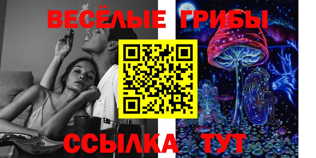 Ржев  Псилоцибиновые грибы MAGIC MUSHROOMS  Вход с VPN 